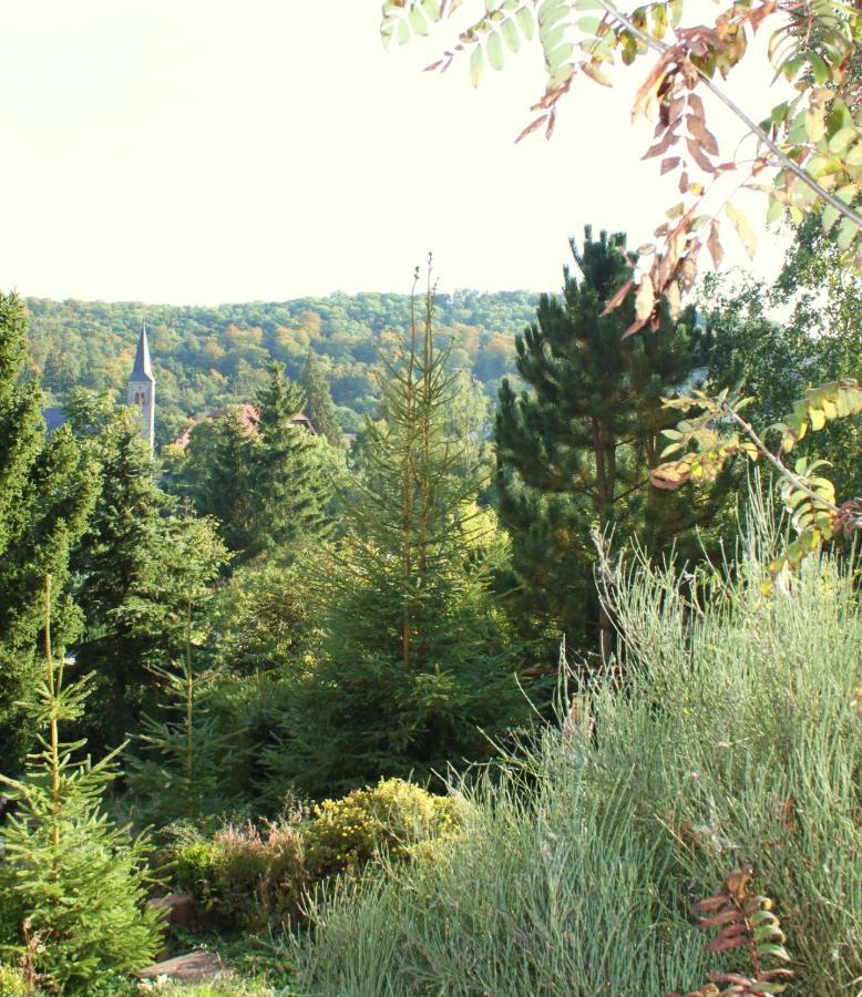 Ferienhaus Harzblick Güntersberge Kültér fotó