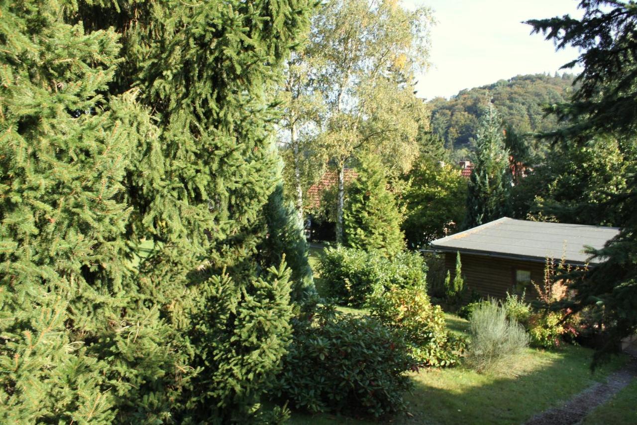 Ferienhaus Harzblick Güntersberge Kültér fotó